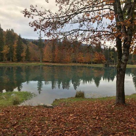 Chalet Alliance Entre Calme Et Plaisir Villa Morillon Kültér fotó