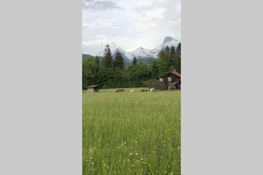Chalet Alliance Entre Calme Et Plaisir Villa Morillon Kültér fotó